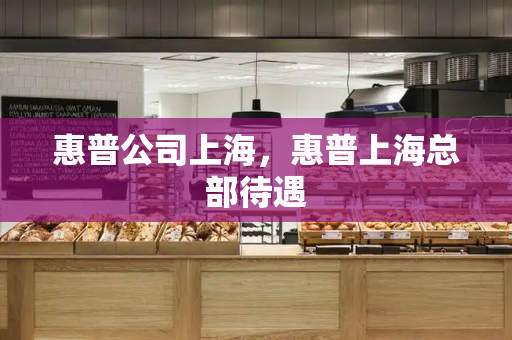 惠普公司上海，惠普上海总部待遇