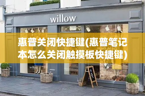 惠普关闭快捷键(惠普笔记本怎么关闭触摸板快捷键)