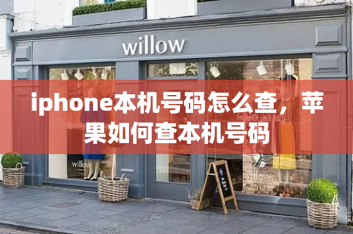 iphone本机号码怎么查，苹果如何查本机号码