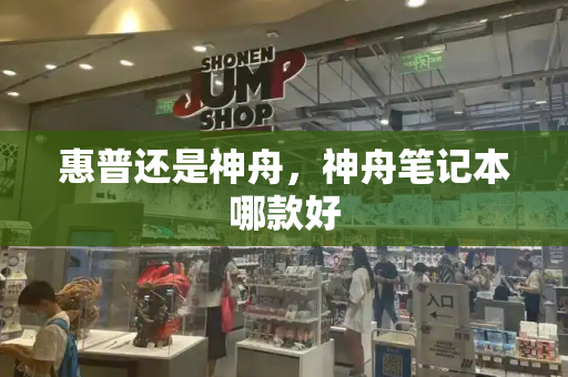 惠普还是神舟，神舟笔记本哪款好