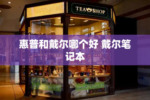 惠普和戴尔哪个好 戴尔笔记本-第1张图片-星选测评