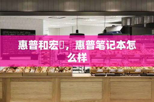 惠普和宏碁，惠普笔记本怎么样-第1张图片-星选测评