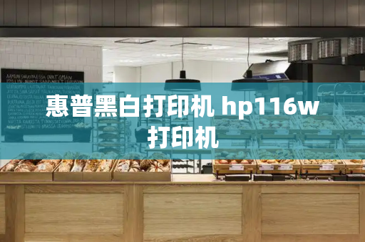 惠普黑白打印机 hp116w打印机-第1张图片-星选测评