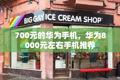 700元的华为手机，华为8000元左右手机推荐