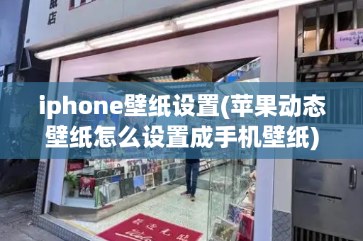 iphone壁纸设置(苹果动态壁纸怎么设置成手机壁纸)