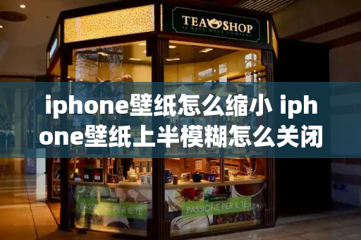iphone壁纸怎么缩小 iphone壁纸上半模糊怎么关闭-第1张图片-星选测评