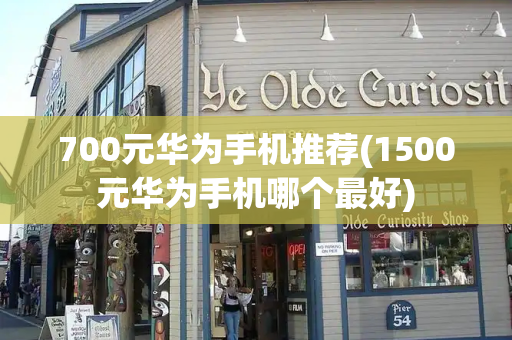 700元华为手机推荐(1500元华为手机哪个最好)-第1张图片-星选测评