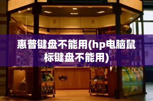 惠普键盘不能用(hp电脑鼠标键盘不能用)