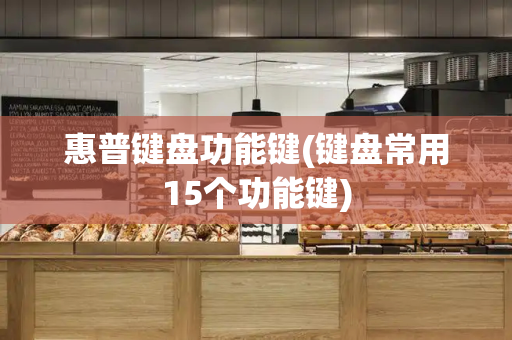 惠普键盘功能键(键盘常用15个功能键)-第1张图片-星选测评