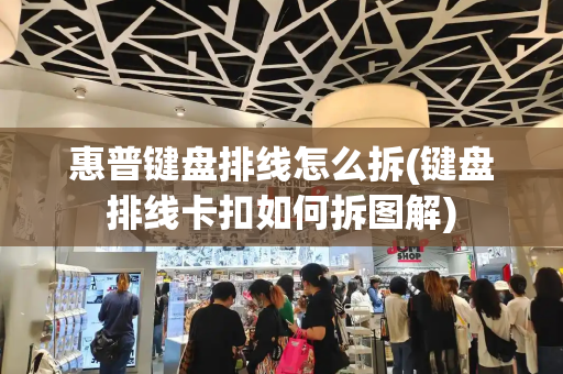 惠普键盘排线怎么拆(键盘排线卡扣如何拆图解)