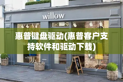惠普键盘驱动(惠普客户支持软件和驱动下载)-第1张图片-星选测评
