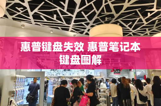 惠普键盘失效 惠普笔记本键盘图解-第1张图片-星选测评