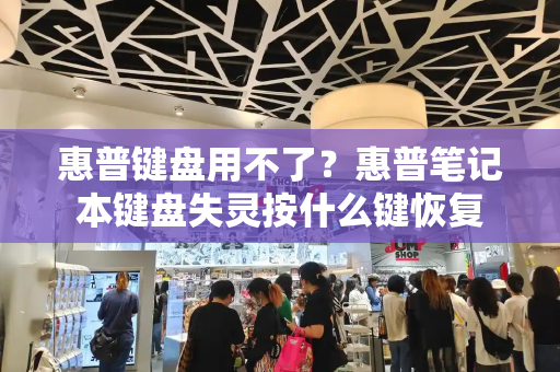 惠普键盘用不了？惠普笔记本键盘失灵按什么键恢复-第1张图片-星选测评