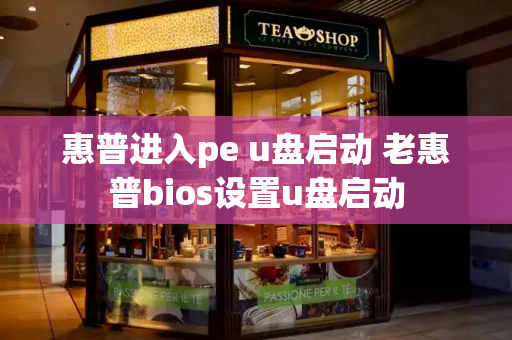 惠普进入pe u盘启动 老惠普bios设置u盘启动