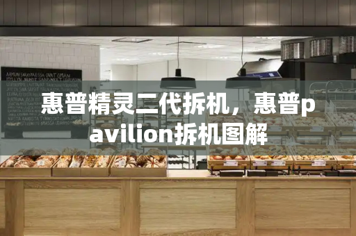 惠普精灵二代拆机，惠普pavilion拆机图解-第1张图片-星选测评