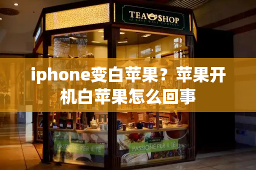 iphone变白苹果？苹果开机白苹果怎么回事-第1张图片-星选测评