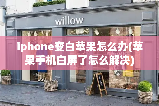 iphone变白苹果怎么办(苹果手机白屏了怎么解决)-第1张图片-星选测评