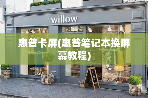 惠普卡屏(惠普笔记本换屏幕教程)