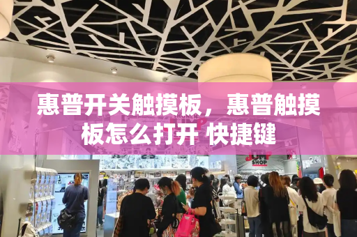 惠普开关触摸板，惠普触摸板怎么打开 快捷键