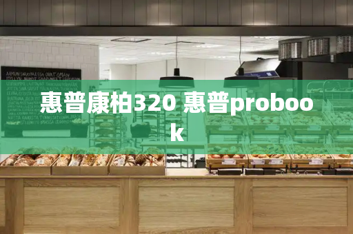惠普康柏320 惠普probook-第1张图片-星选测评