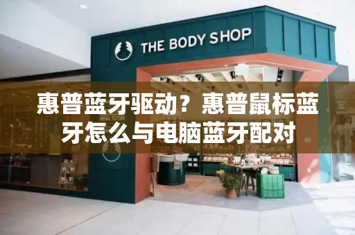 惠普蓝牙驱动？惠普鼠标蓝牙怎么与电脑蓝牙配对-第1张图片-星选测评