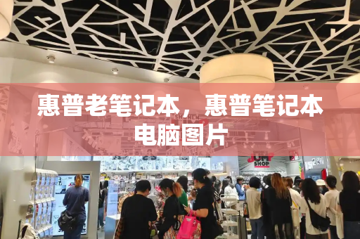 惠普老笔记本，惠普笔记本电脑图片