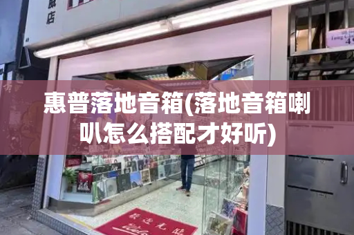 惠普落地音箱(落地音箱喇叭怎么搭配才好听)-第1张图片-星选测评