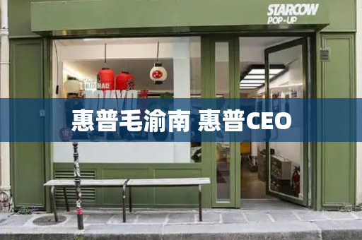 惠普毛渝南 惠普CEO-第1张图片-星选测评