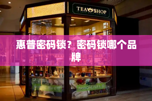 惠普密码锁？密码锁哪个品牌-第1张图片-星选测评