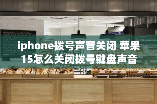 iphone拨号声音关闭 苹果15怎么关闭拨号键盘声音