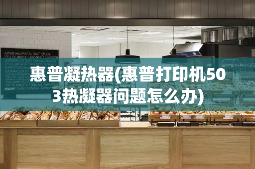 惠普凝热器(惠普打印机503热凝器问题怎么办)-第1张图片-星选测评