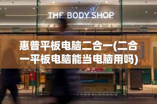 惠普平板电脑二合一(二合一平板电脑能当电脑用吗)