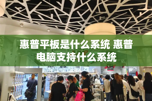 惠普平板是什么系统 惠普电脑支持什么系统