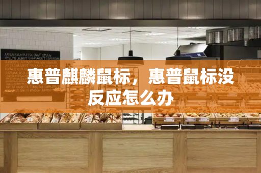 惠普麒麟鼠标，惠普鼠标没反应怎么办