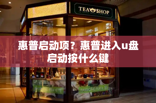 惠普启动项？惠普进入u盘启动按什么键