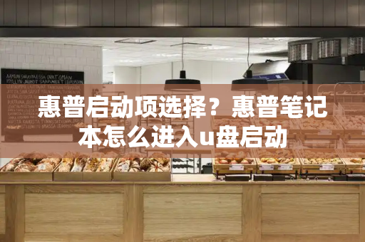 惠普启动项选择？惠普笔记本怎么进入u盘启动