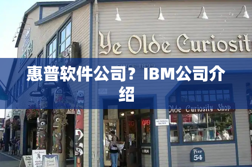 惠普软件公司？IBM公司介绍