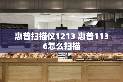 惠普扫描仪1213 惠普1136怎么扫描