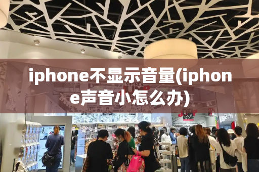 iphone不显示音量(iphone声音小怎么办)