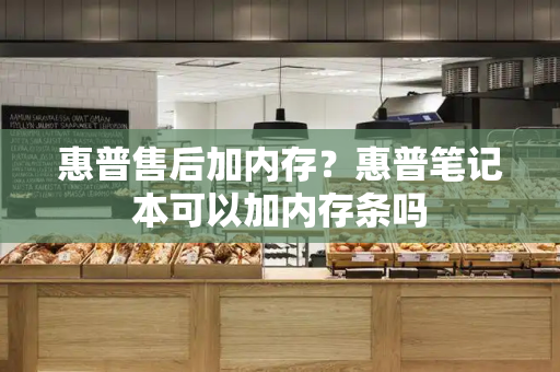 惠普售后加内存？惠普笔记本可以加内存条吗-第1张图片-星选测评