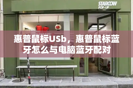 惠普鼠标USb，惠普鼠标蓝牙怎么与电脑蓝牙配对
