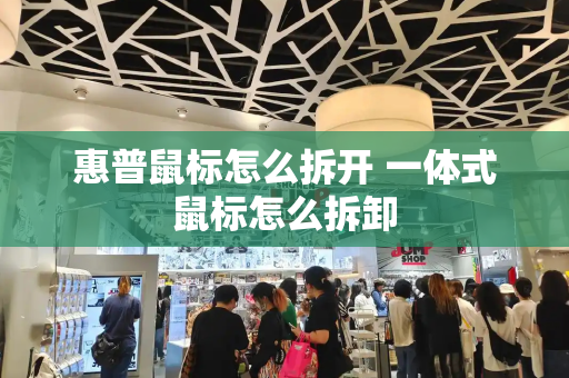 惠普鼠标怎么拆开 一体式鼠标怎么拆卸-第1张图片-星选测评