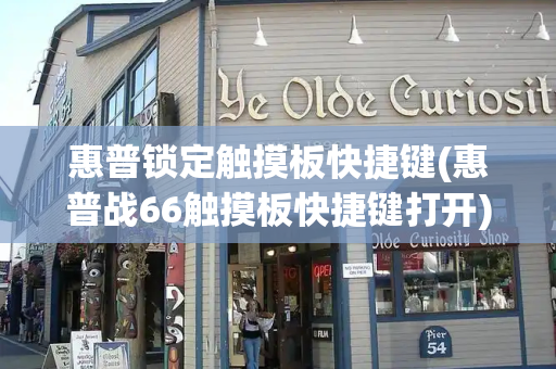 惠普锁定触摸板快捷键(惠普战66触摸板快捷键打开)