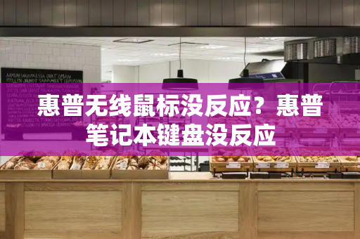 惠普无线鼠标没反应？惠普笔记本键盘没反应-第1张图片-星选测评