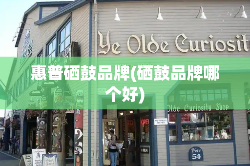 惠普硒鼓品牌(硒鼓品牌哪个好)
