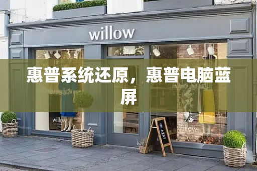 惠普系统还原，惠普电脑蓝屏-第1张图片-星选测评
