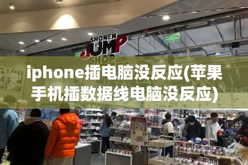 iphone插电脑没反应(苹果手机插数据线电脑没反应)-第1张图片-星选测评