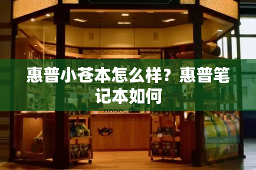 惠普小苍本怎么样？惠普笔记本如何-第1张图片-星选测评