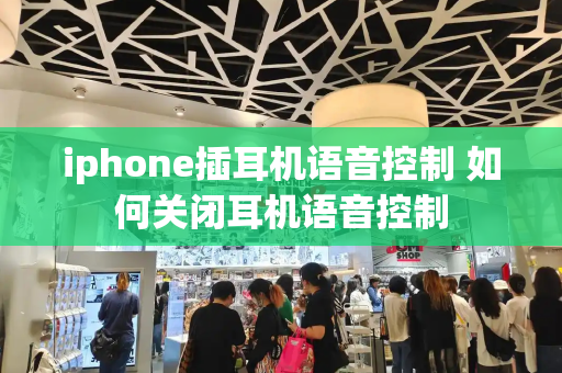 iphone插耳机语音控制 如何关闭耳机语音控制