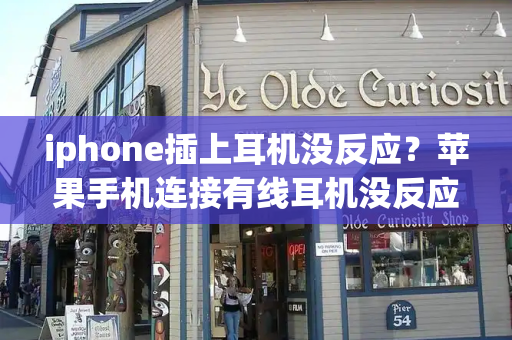 iphone插上耳机没反应？苹果手机连接有线耳机没反应-第1张图片-星选测评